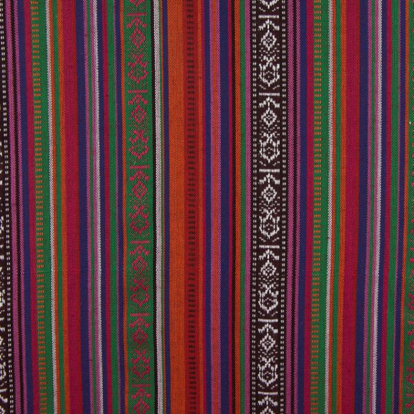 Estampado Étnico Haida 1