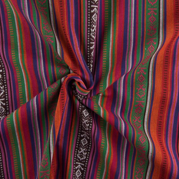 Estampado Étnico Haida 1