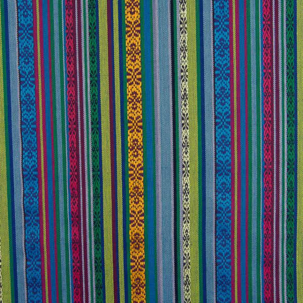 Estampado Étnico Haida 2