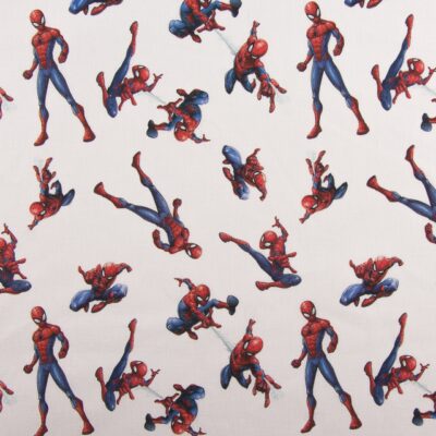 Digital Homem Aranha 1