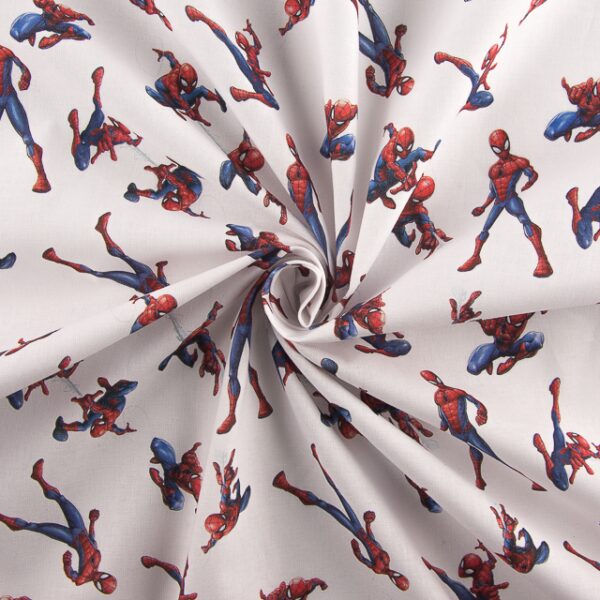 Digital Homem Aranha 1