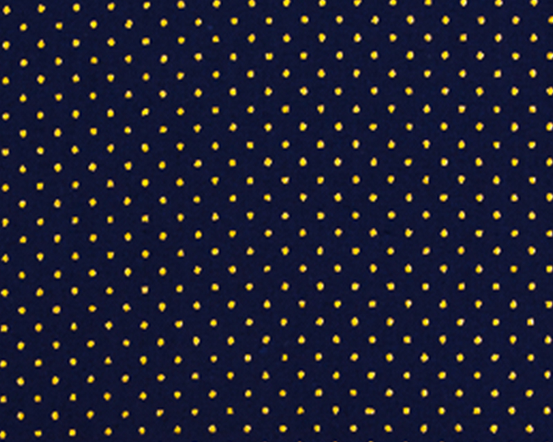 Pintas Salina 5