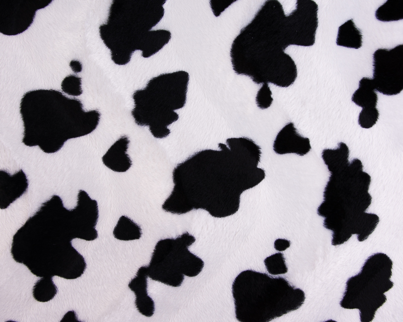Imitação de Pelo Vaca 2
