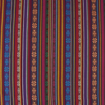 Estampado Étnico Haida 5