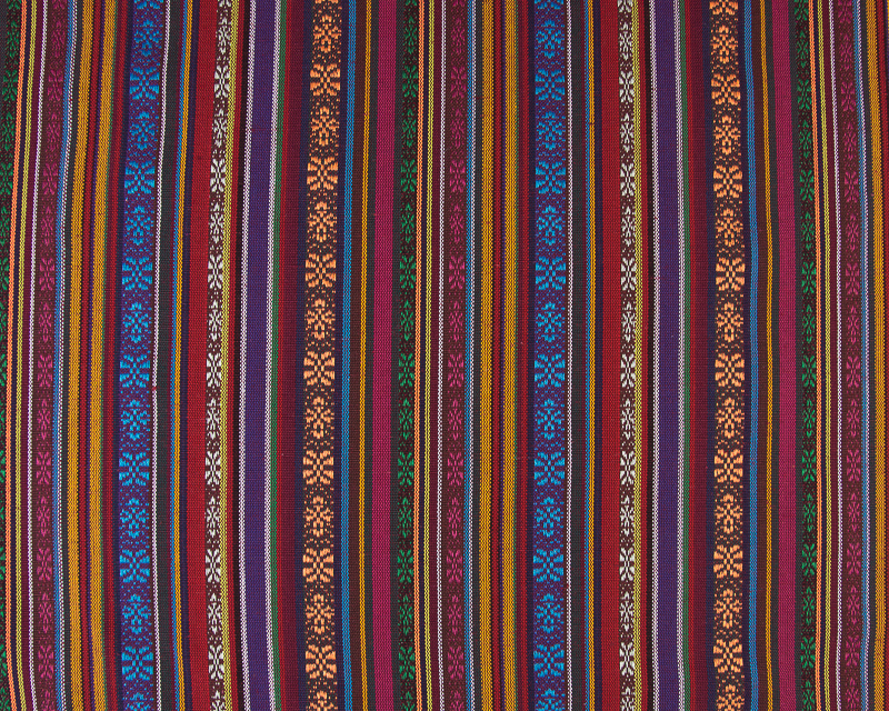 Estampado Étnico Haida 5