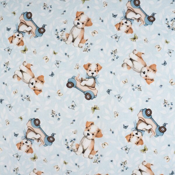 Cãezinhos e Carrinhos 1
